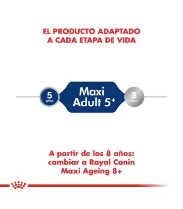 Royal Canin Maxi Ageing 8+ | Alimento Premium para Perros Mayores