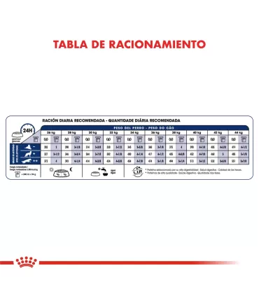 Royal Canin Maxi Ageing 8+ | Alimento Premium para Perros Mayores