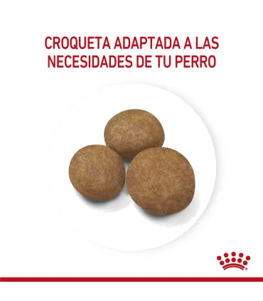 Alimento para perros Royal Canin Maxi Junior 3kg