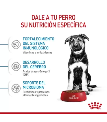 Alimento para perros Royal Canin Maxi Junior 3kg
