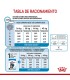 Alimento para perros Royal Canin Maxi Junior 3kg