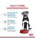 Alimento para perros Royal Canin Maxi Junior 15kg