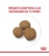 Alimento para perros Royal Canin Maxi Junior 15kg