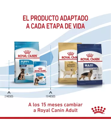 Alimento para perros Royal Canin Maxi Junior 15kg