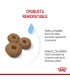 Alimento para perros Royal Canin Maxi Starter 10kg