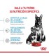Alimento para perros Royal Canin Maxi Starter 10kg