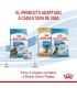 Alimento para perros Royal Canin Maxi Starter 10kg