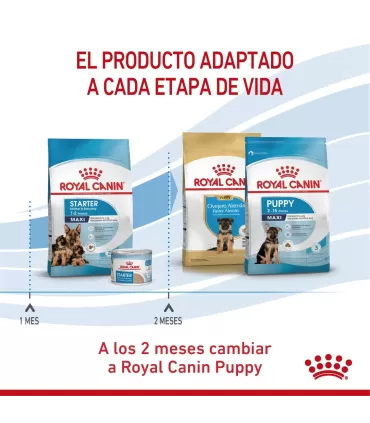 Alimento para perros Royal Canin Maxi Starter 10kg