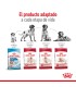 Royal Canin Medium Adult 3kg: Nutrición Óptima para Perros Medianos