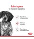 Alimento para perros Royal Canin Medium Adult x 15kg