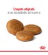 Alimento para perros Royal Canin Medium Adult 7+ 3kg