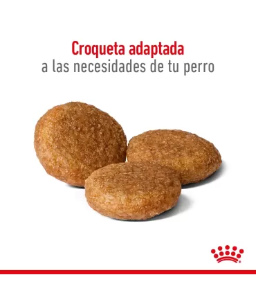 Alimento para perros Royal Canin Medium Adult 7+ 3kg