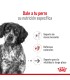 Alimento para perros Royal Canin Medium Ageing 10+ 15kg