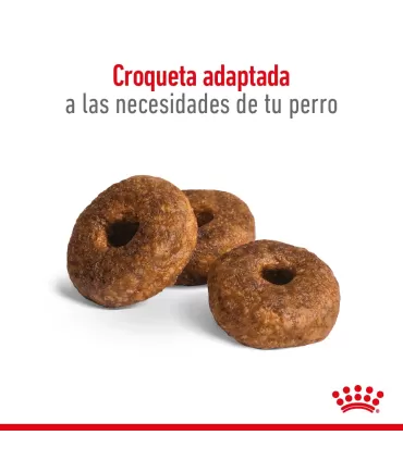 Alimento para perros Royal Canin Medium Ageing 10+ 15kg