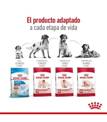 Alimento para perros Royal Canin Medium Ageing 10+ 15kg