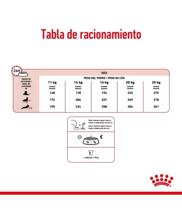 Alimento para perros Royal Canin Medium Ageing 10+ 15kg