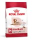Royal Canin Medium Ageing 10+