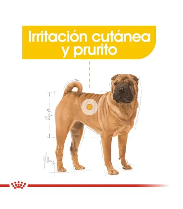 Alimento para perros Royal Canin Medium Dermacomfort 3kg