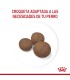 Alimento para perros Royal Canin Medium Puppy