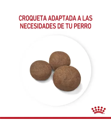 Alimento para perros Royal Canin Medium Puppy