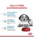 Alimento para perros Royal Canin Medium Puppy 15kg