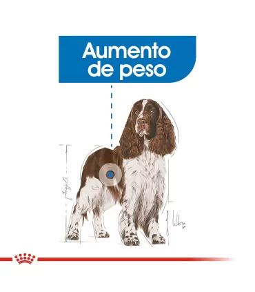 Royal Canin Medium Weight Care 3kg | Alimento Control Peso Perros
