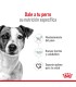 Alimento para perros Royal Canin Mini Adult 3kg