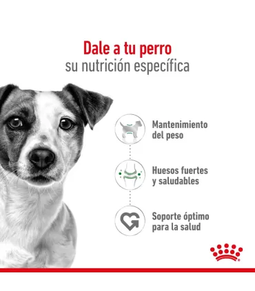 Alimento para perros Royal Canin Mini Adult 3kg