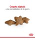 Royal Canin Mini Adult 7.5kg | Mejor Precio en Argentina