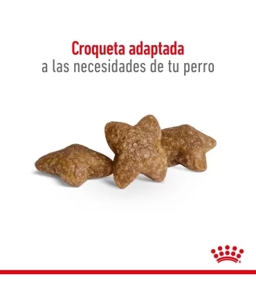 Royal Canin Mini Adult 15kg | Mejor Precio en Argentina
