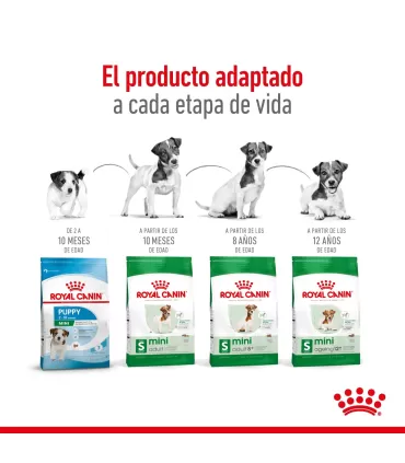 Royal Canin Mini Adult 15kg | Mejor Precio en Argentina