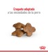 Royal Canin Mini Adult 8+ 3kg | Alimento Premium para Perros Mayores