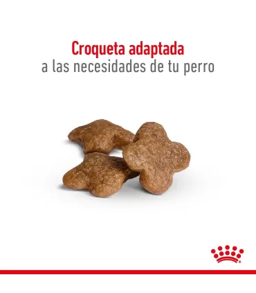 Royal Canin Mini Adult 8+ 3kg | Alimento Premium para Perros Mayores