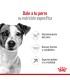 Royal Canin Mini Adult 8+ 3kg | Alimento Premium para Perros Mayores
