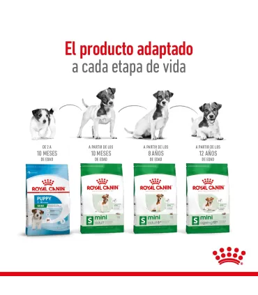 Royal Canin Mini Adult 8+ 3kg | Alimento Premium para Perros Mayores