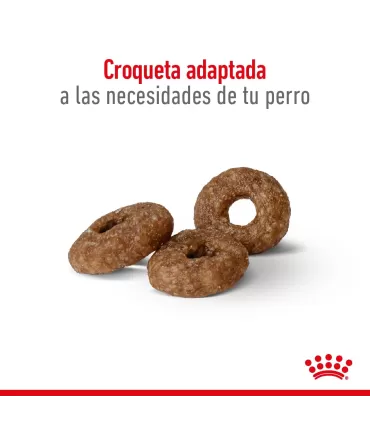 Royal Canin Mini Ageing 12+ | Alimento Especial Perros Mayores 3kg