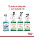 Royal Canin Mini Ageing 12+ | Alimento Especial Perros Mayores 3kg