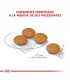 Royal Canin Mini Dermacomfort 3kg | Cuidado Piel Perros Pequeños