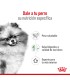 Royal Canin Mini Indoor 3kg: Nutrición Ideal para Perros Pequeños