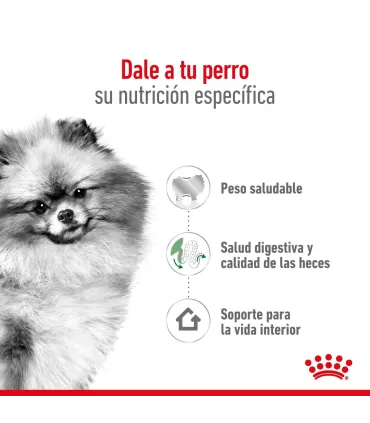Royal Canin Mini Indoor 3kg: Nutrición Ideal para Perros Pequeños