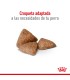 Royal Canin Mini Indoor 3kg: Nutrición Ideal para Perros Pequeños
