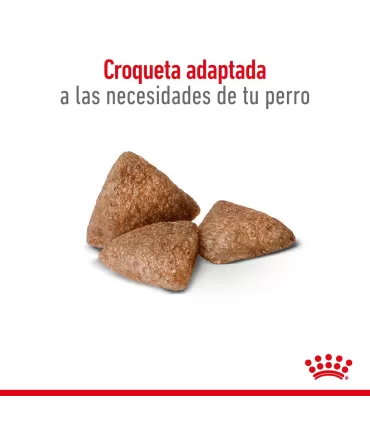 Royal Canin Mini Indoor 3kg: Nutrición Ideal para Perros Pequeños