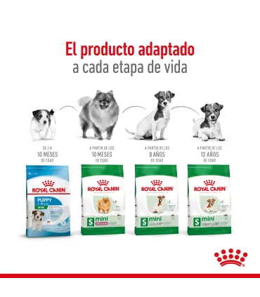 Royal Canin Mini Indoor 3kg: Nutrición Ideal para Perros Pequeños