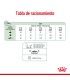 Royal Canin Mini Indoor 3kg: Nutrición Ideal para Perros Pequeños