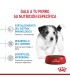 Royal Canin Mini Puppy 3kg | Alimento Premium para Cachorros Pequeños