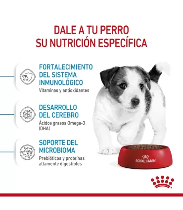 Royal Canin Mini Puppy 3kg | Alimento Premium para Cachorros Pequeños