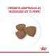 Royal Canin Mini Puppy 7.5kg | Alimento Premium para Cachorros Pequeños