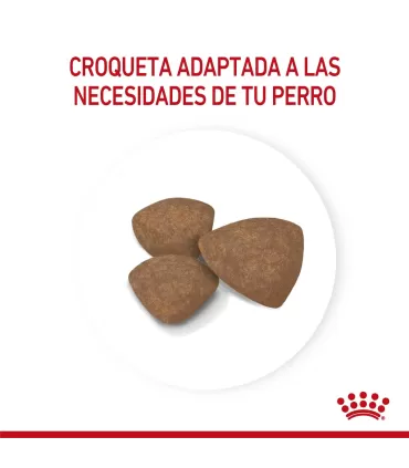 Royal Canin Mini Puppy 7.5kg | Alimento Premium para Cachorros Pequeños