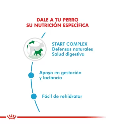Royal Canin Mini Starter 3kg: Nutrición Ideal para Cachorros Pequeños