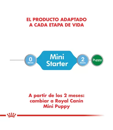 Royal Canin Mini Starter 3kg: Nutrición Ideal para Cachorros Pequeños